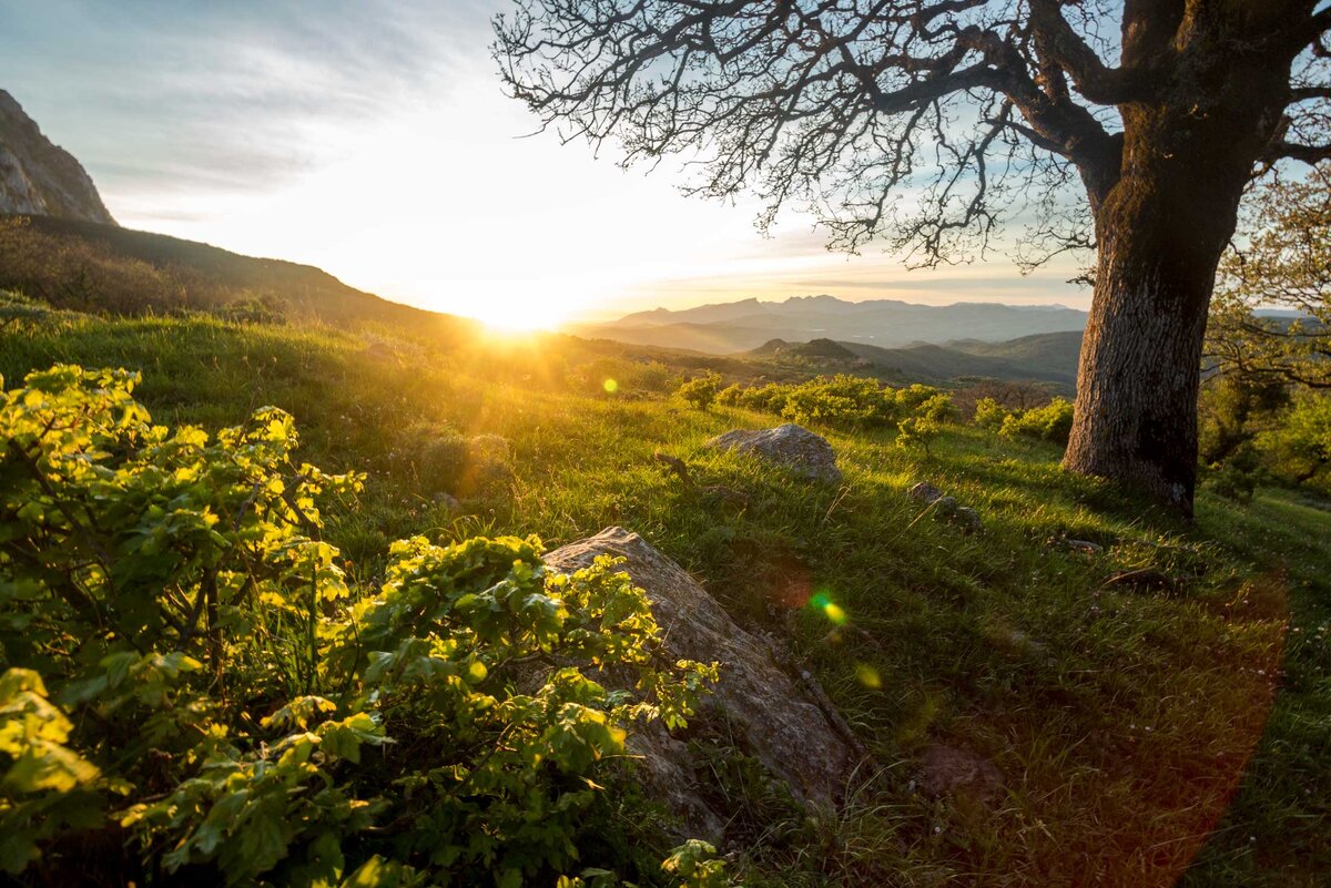 История женщины, которая вернулась к жизни с невероятным сообщением для каждого человека.