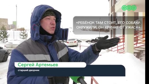 В петербурге дворник спас. Дворник спас. Дворник спас девушку от собак видео где снято