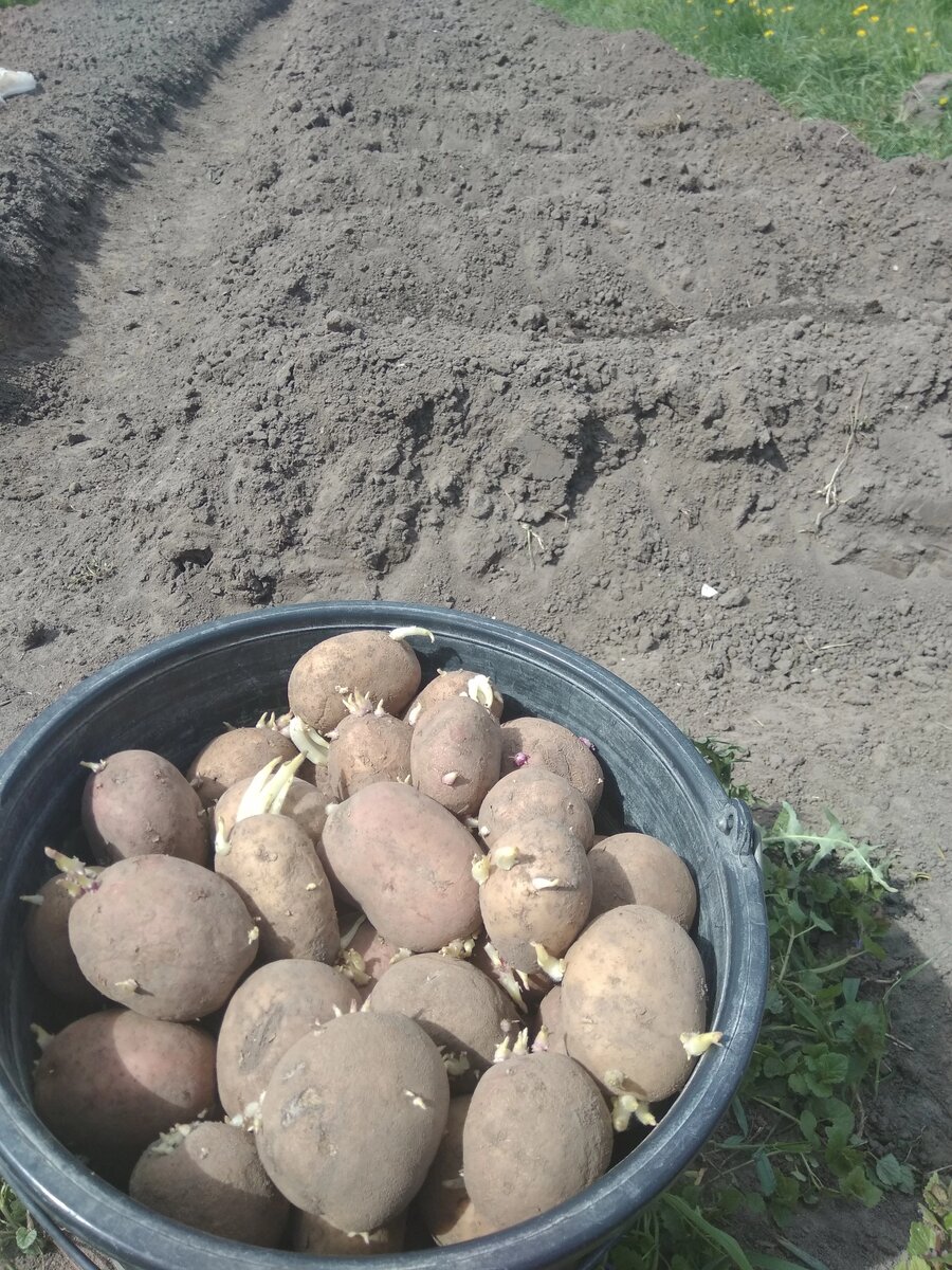 На посадку.