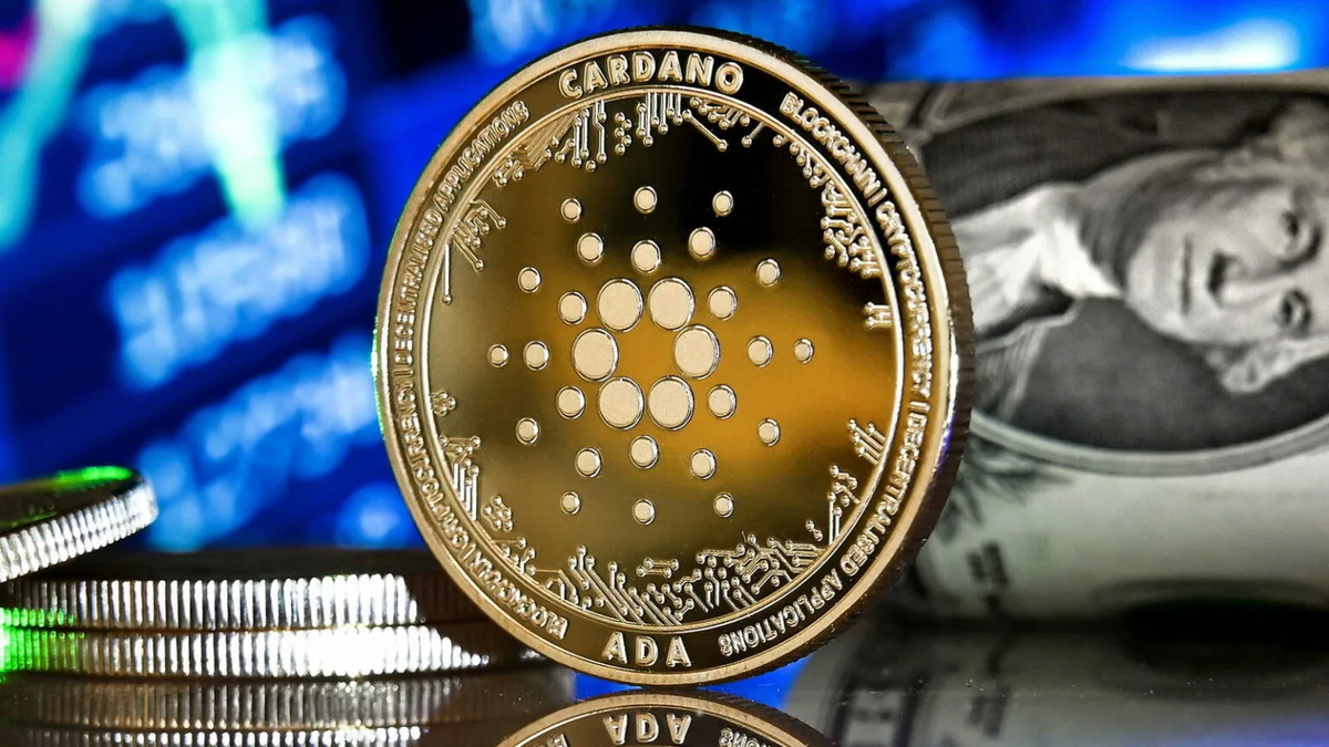Cardano 