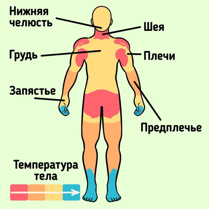 Как правильно наносить парфюм мужчине. Места прощупывания пульса на теле человека. Места нанесения духов. Точки пульса на теле человека для нанесения парфюма. Холодные точки на теле для нанесения духов.