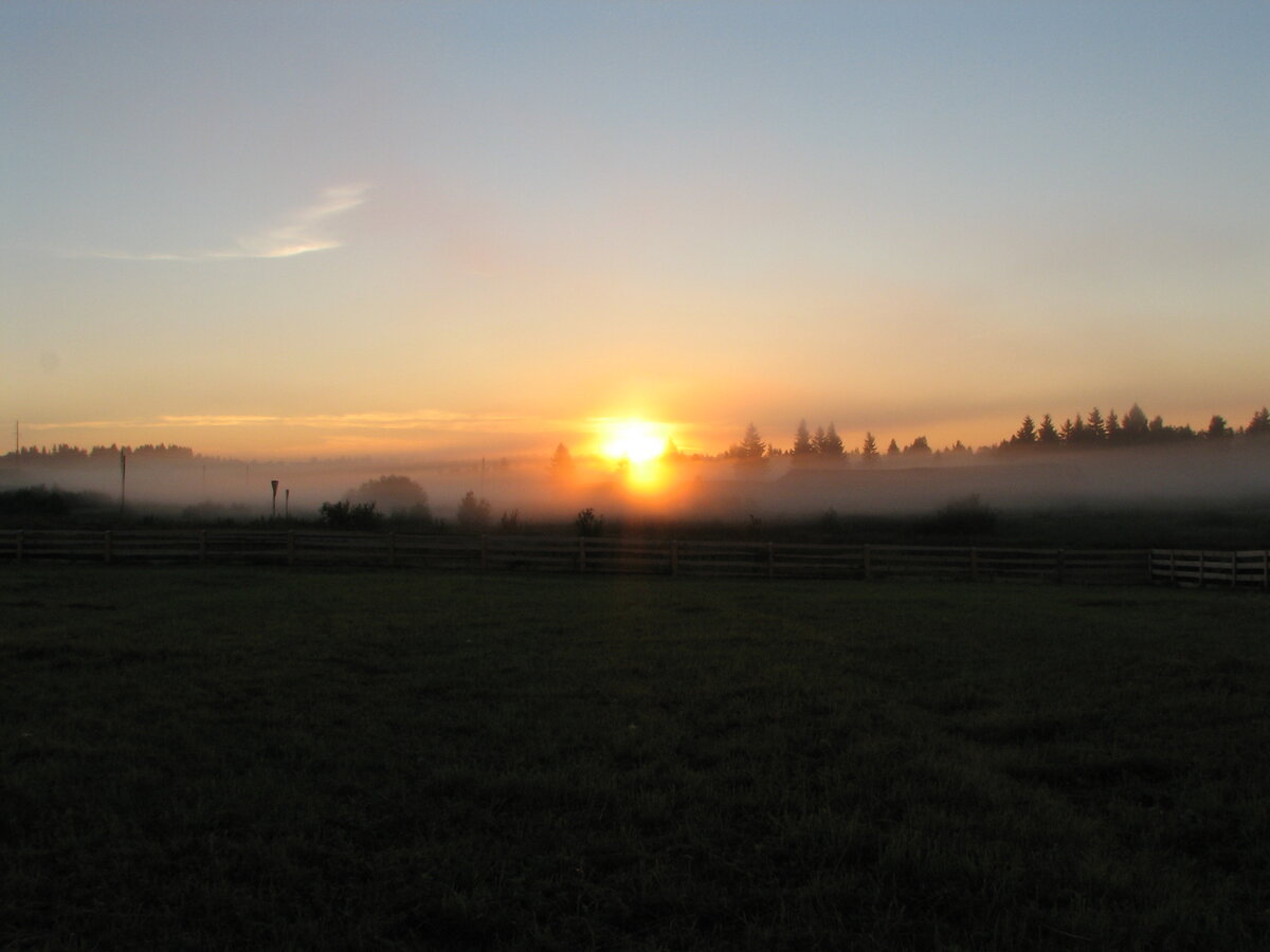 Фото А.Попова