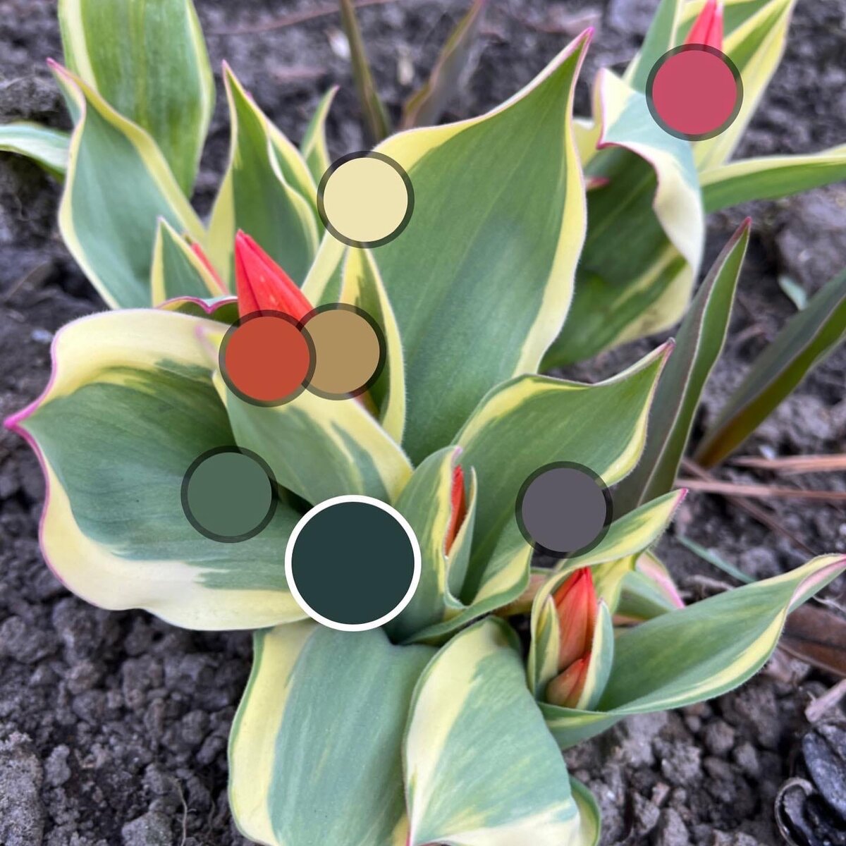 Листайте галерею