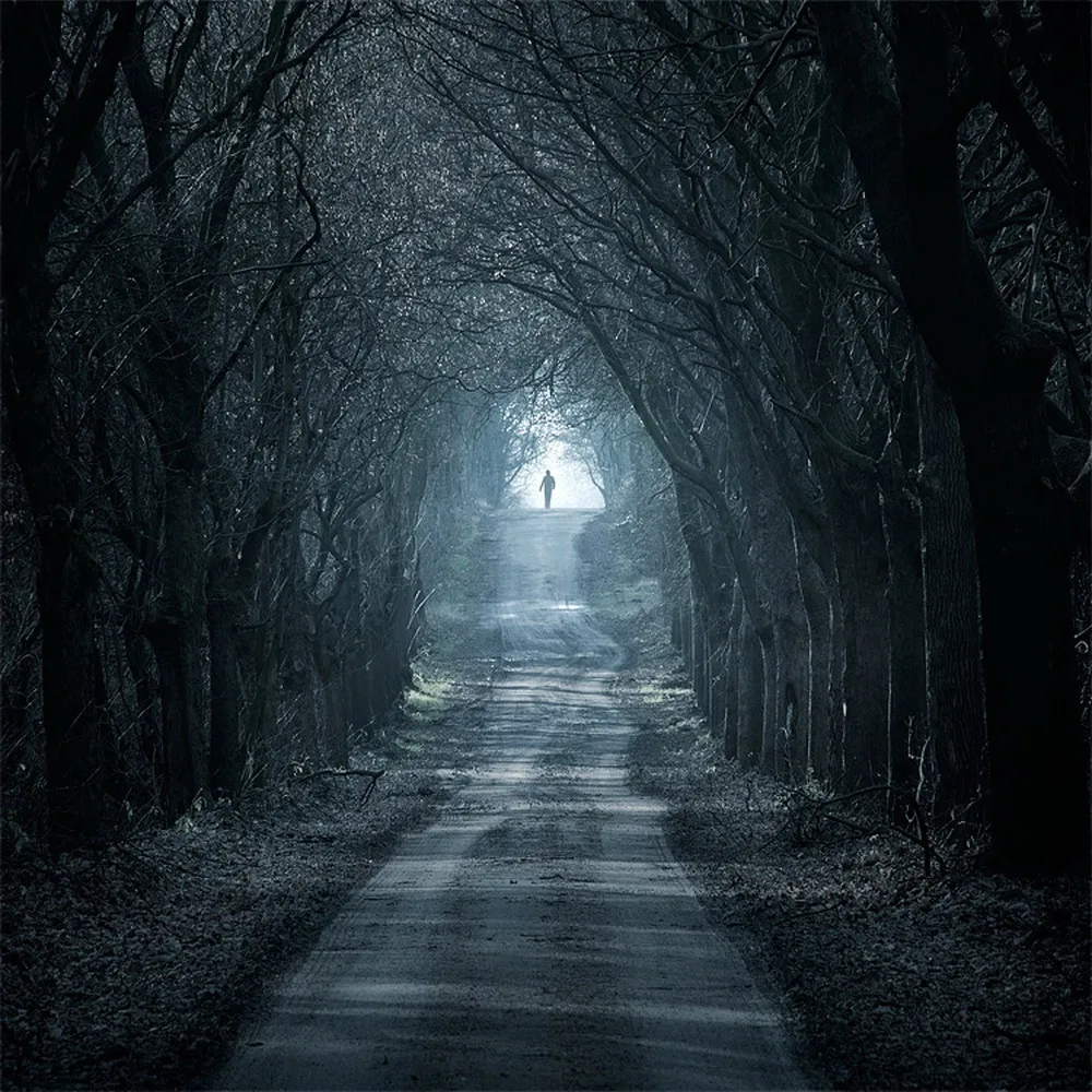 Montagem mysterious. Мрачный пейзаж. Мистика Эстетика загадочность. Темная дорога. Мистические пейзажи
