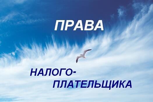 Права есть у того, кто свободен соблюдать закон. Фото из интернета: godlike.