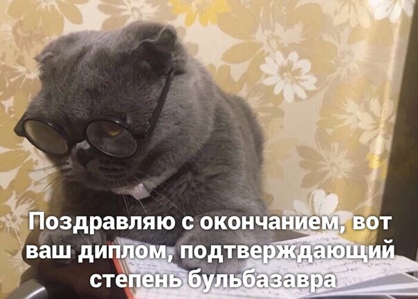 Если ты бакалавр, то не обязательно бульбазавр, а если бульбазавр – значит бакалавр, но без лавров:) Сайт-источник картинки: https://clck.ru/sQXqj