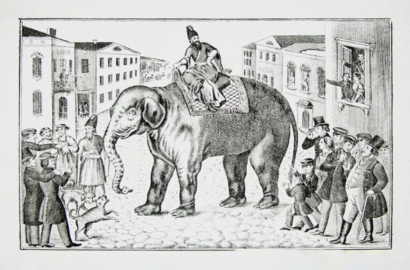    Иллюстрация к басне Ивана Крылова «Слон и Моська». 1857 год. Фото: Public domain