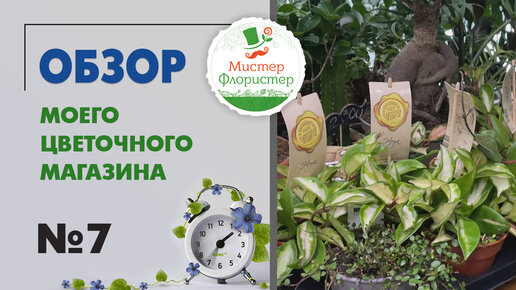 #7 Обзор цветочного магазина 