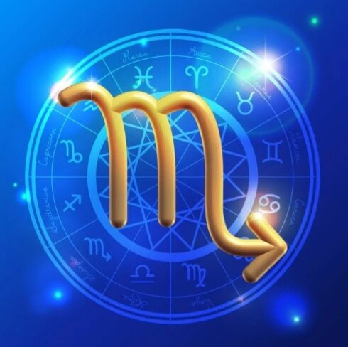 Фото из открытого источника 