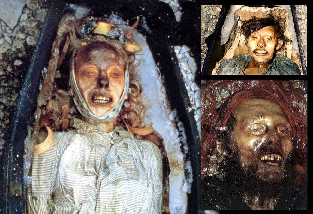 Мумии экспедиции Франклина: Уильям Брейн, Джон Шоу Торрингтон и Джон Хартнелл