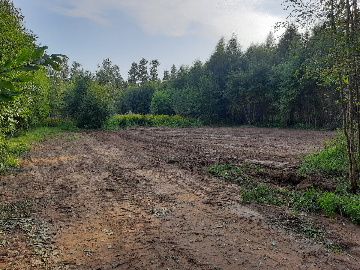 Как расчистить участок от кустов и деревьев за 14 000 рублей | Всё о ...