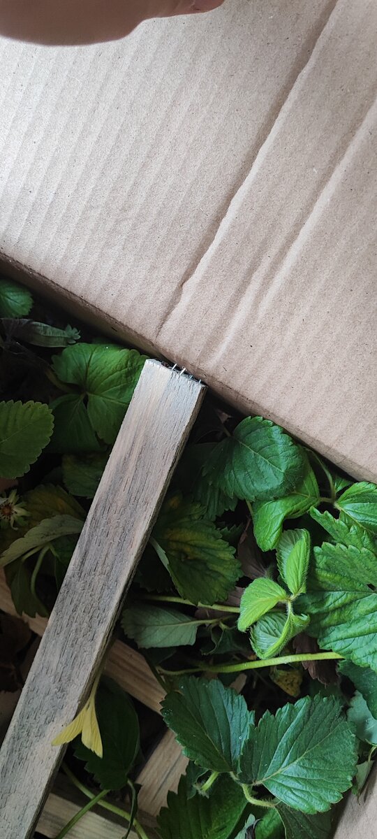 крепление гвоздями