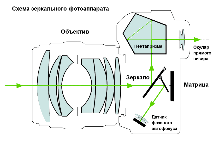 Зеркалка или беззеркалка: какой фотоаппарат выбрать в 2023-м | Игорь  Лебединский фото видео спб | Дзен