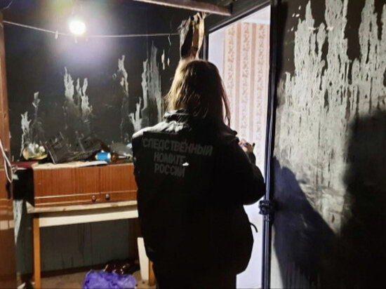     Фото: СУ СК РФ по Саратовской области