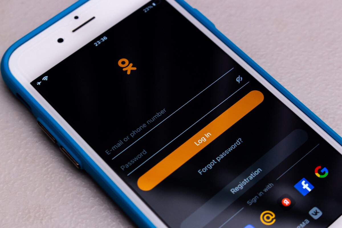    Фото: Koshiro K / Shutterstock.com