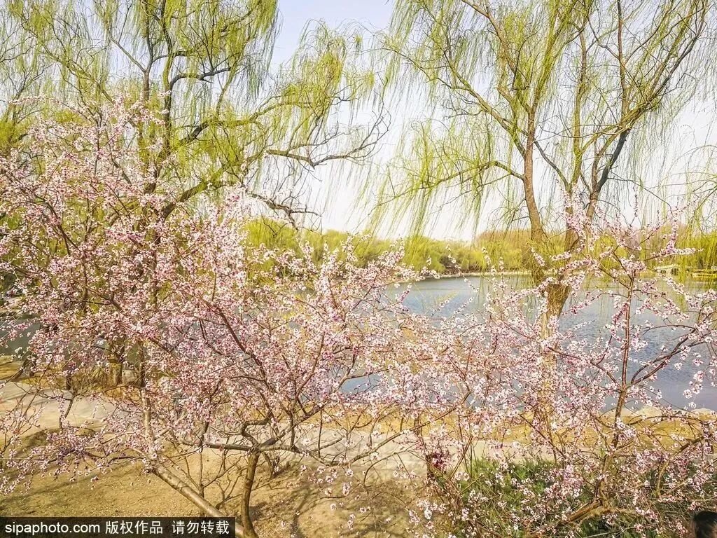 Взято из https://russian.visitbeijing.com.cn/article/4CBwquOuhHV