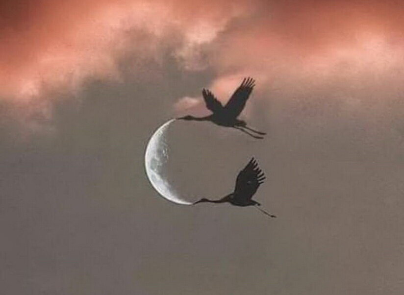 Фото: Яндекс картинки