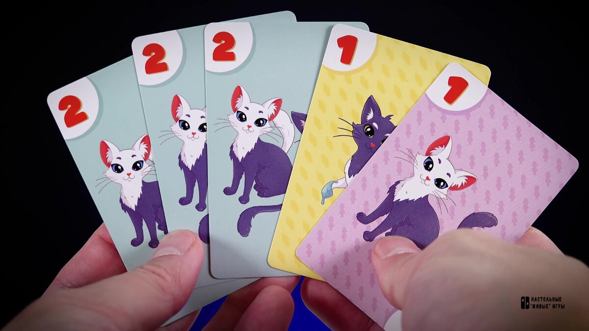 коты - проказники