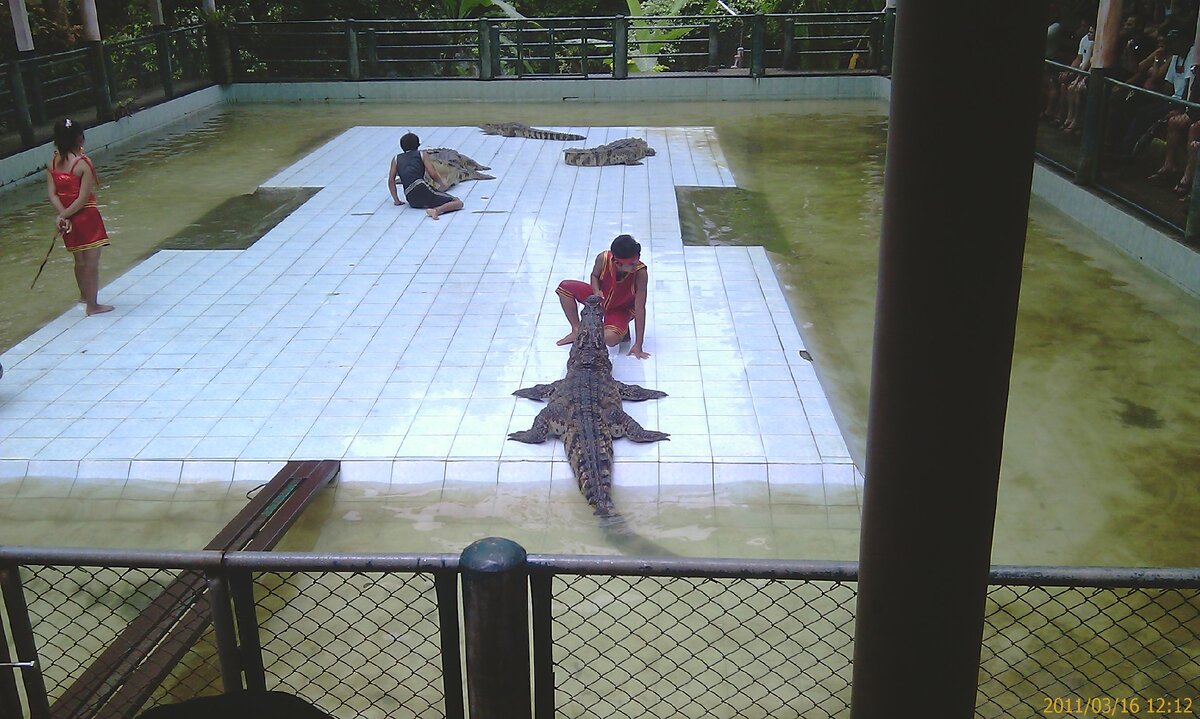 Тайские будни