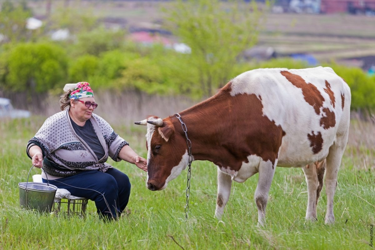 Фото из открытых источников