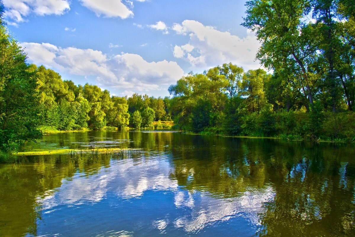 Где ловить рыбу в Курской области — обзор водоемов | LoviTut.ru (Рыбалка и  Бильярд) | Дзен