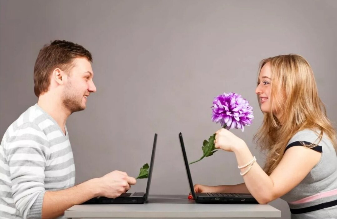 Яндекс Картинки