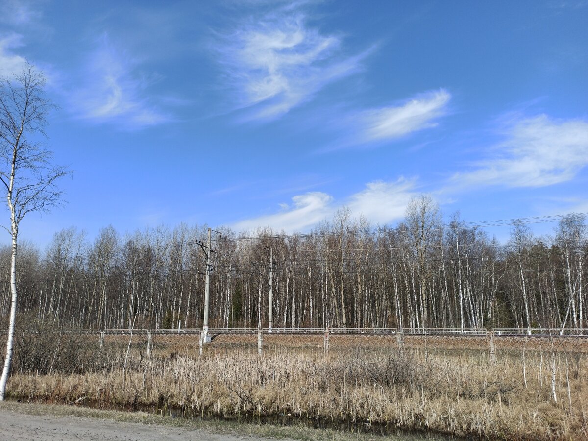 Едем к заливу