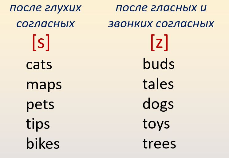   Множественное число имен существительных в английском языке образуется гораздо проще, чем в русском, но всё же есть некоторые нюансы.-2