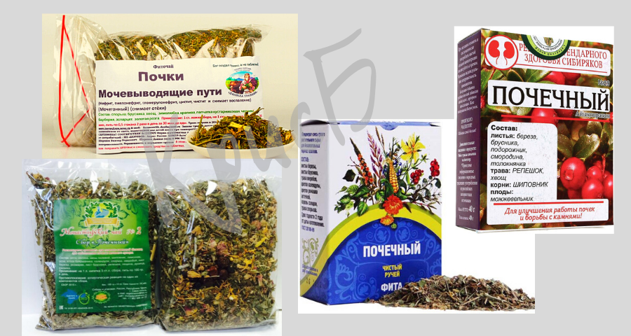 Лечение почек отварами