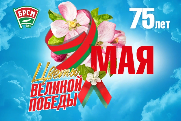 На этом плакате белорусскую бутоньерку я и сам не сразу нашёл. Поналяпали мишуры! Вон она под буквой "М". Источник: http://brsm.by/projects/tsvety-velikoj-pobedy/