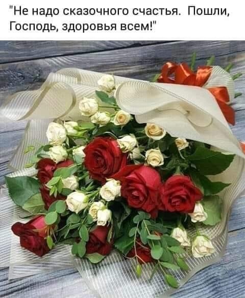 фото из Яндекс картинки 