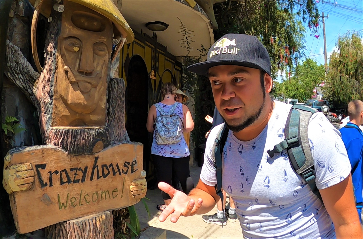 На входе в сказочное царство Крейзи Хауса, вас встретит дерево во Вьетнамской шляпке :)