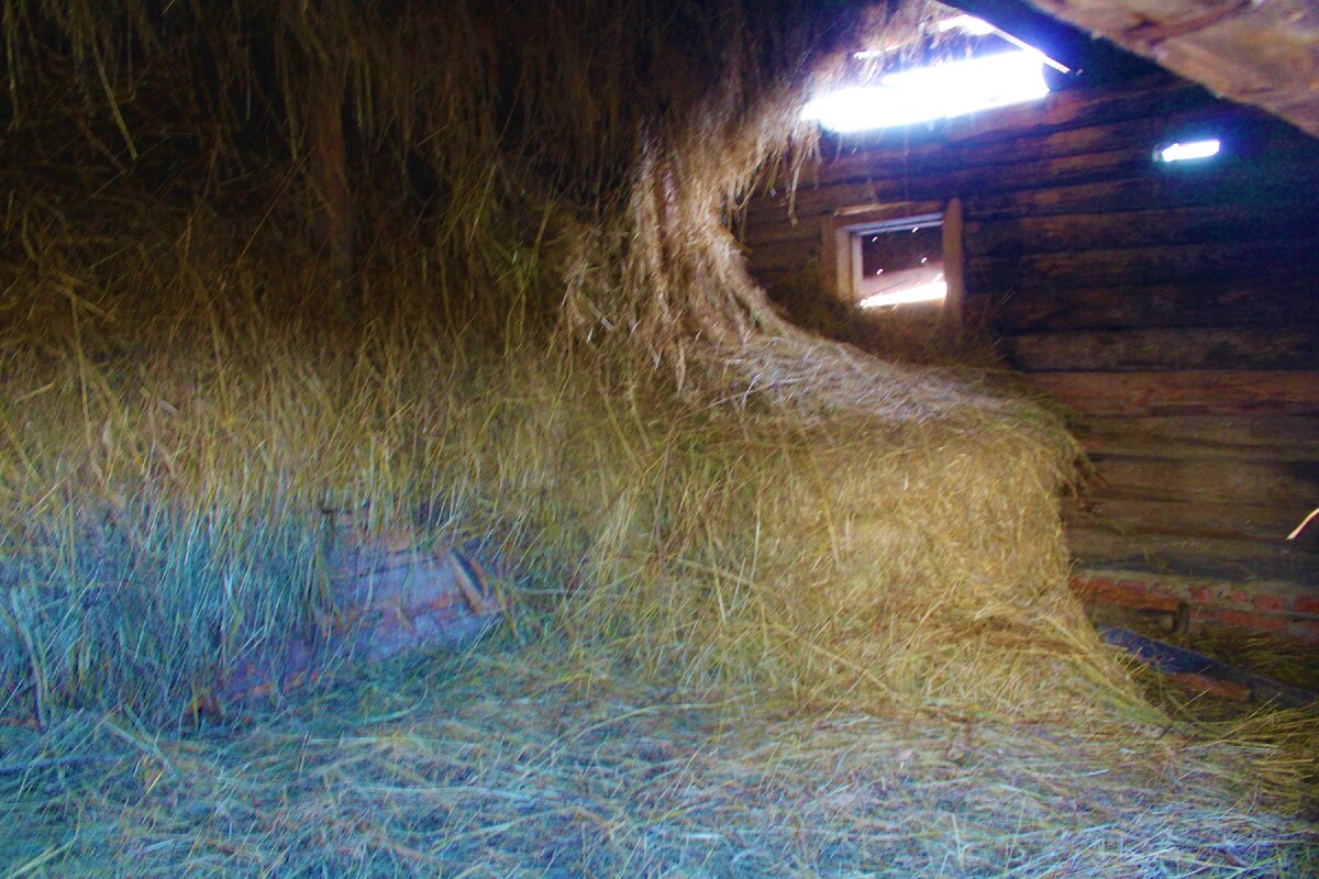 Марийская деревня Шереке, кот Бегемот? и старинная клеть на отшибе, показываю, что увидели внутри нее