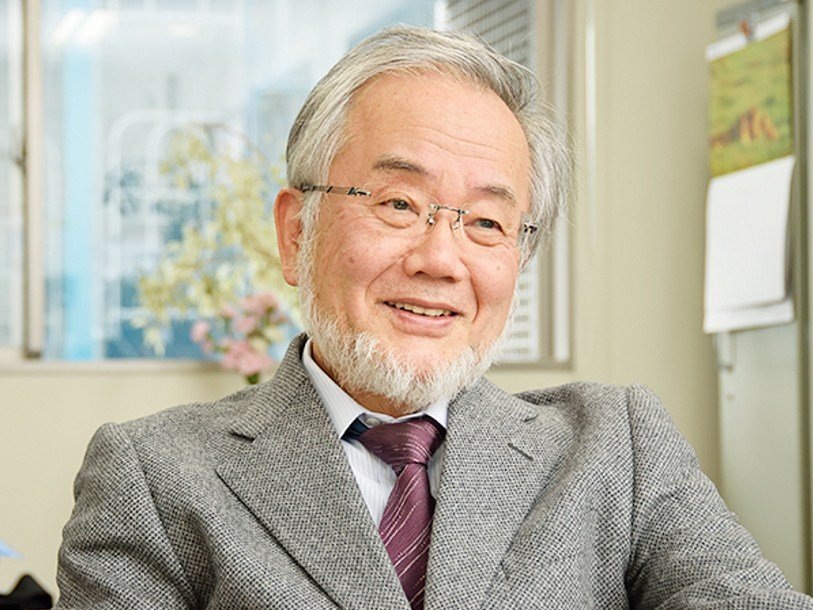 Есинори Осуми