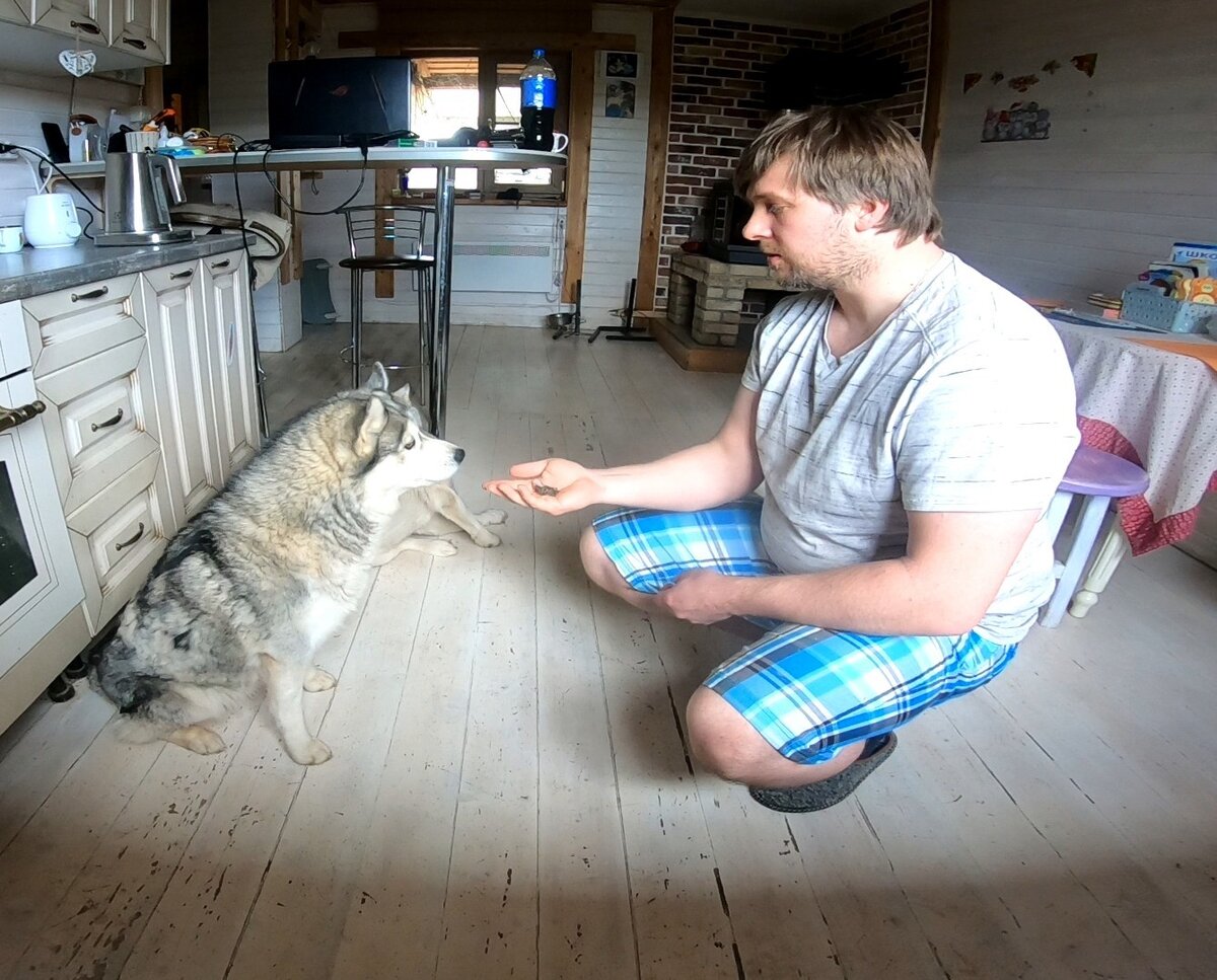 Давать кусочек нужно медленно, на открытой ладони.