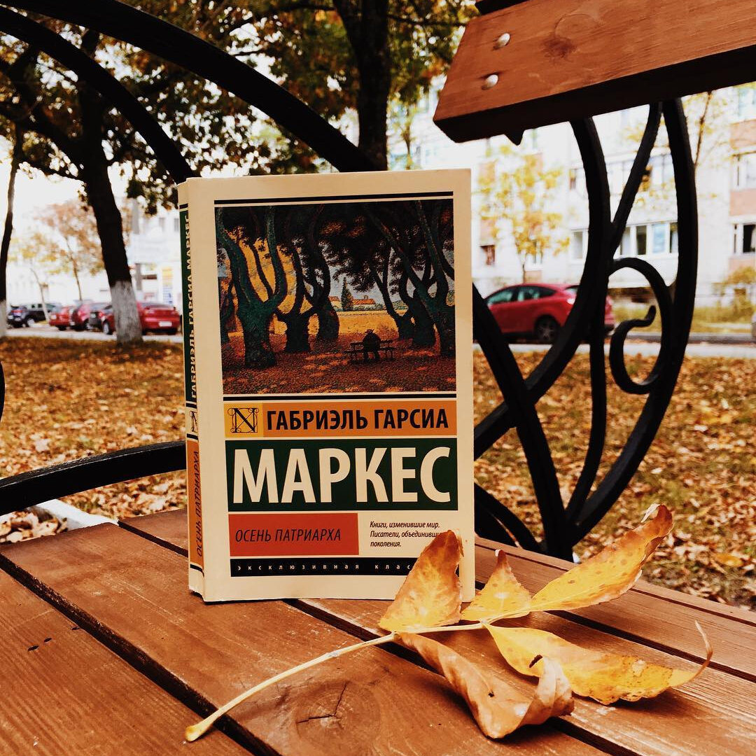 Фото: vienta_escarlata (instagram)