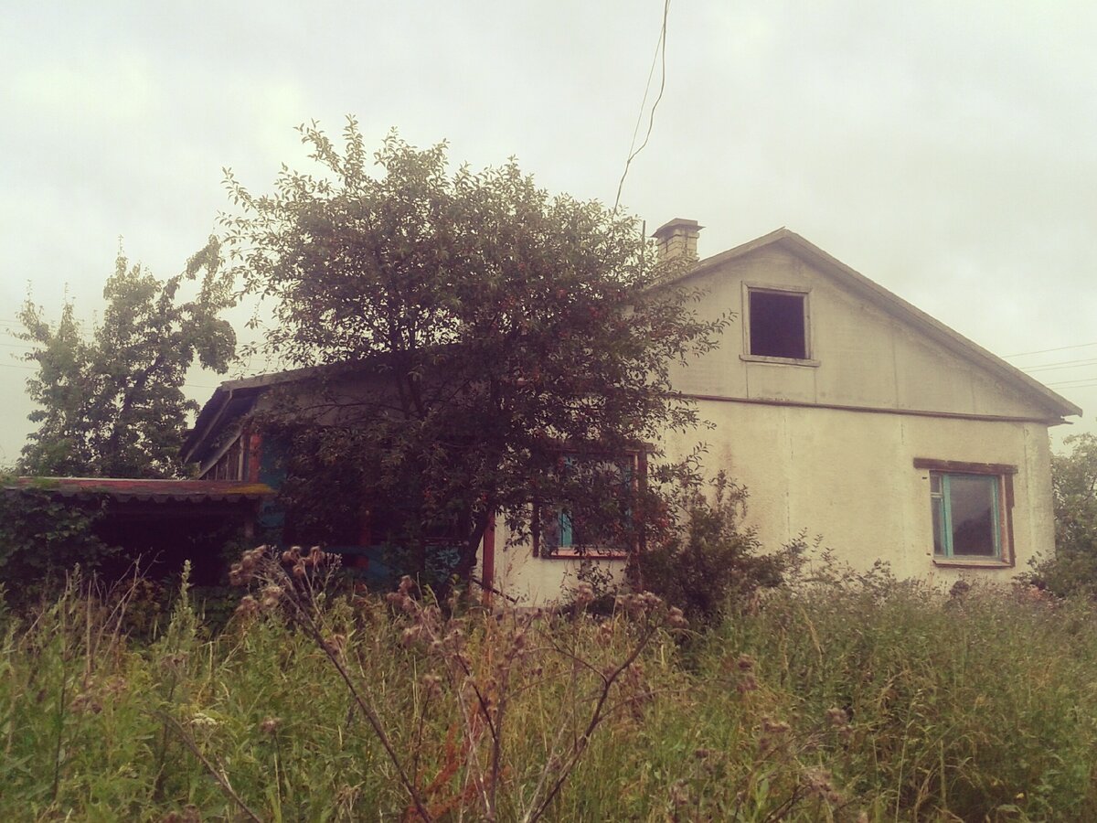 Наш дом в год переезда