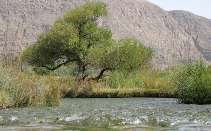 Глава 01. ( Первая встреча.)
-Вот и приехали, - сказал Гулямов, остановив машину на окраине кишлака. Впереди стоял большой дом с огромным загоном для скота, подойдя ближе к дому, я рассмотрел большой сад, в глубине которого был навес и большой топчан*. Чувствовался приятный запах хлеба и жареного мяса, похоже, нас здесь ждали. Капитан осмотрелся и показывая на дом ответил на мой взгляд:
-Здесь переночуем, а рано утром двинем к устью реки, кстати, хозяин этого дома, старый друг моего отца и может многое рассказать всяких странных историй.
Капитан по-хозяйски открыл калитку, махнув нам рукой, чтобы шли за ним, зашагал к дому. Уже совсем стемнело и двигаясь за капитаном вглубь сада, я с трудом видел контуры дома, но под навесом, где стоял топчан и был накрыт стол, было светло и уютно. Семейство Юл-оглы, так звали старого пастуха, было гостеприимным и общительным, это был потомственный чабан, его дед и отец пасли отары овец на этих горных склонах, теперь его сын исходил здесь всё, вдоль и поперёк. Никто не знал эти места лучше, чем эти пастухи. И вот сидя на огромном топчане этим поздним вечером, за обе щёки уплетая вкусный плов, мы слушали, как Юл-оглы рассказывал нам странную историю, произошедшую с ним в молодости:
-Честно говоря, - медленно и негромко говорил старый пастух, - здесь много всяких историй рассказывают, люди боятся этих мест, стараются обходить стороной, а учёные говорят, что в наших местах аномальная зона, всякая чертовщина творится, но эта история была особенной, для меня лично, - Юл-оглы отхлебнул чай и глядя перед собой, продолжал говорить: - Во время афганской войны в этих местах пропал взвод солдат. Сначала пропала одна группа, а через некоторое время, ещё одна группа солдат ушла и не вернулась, что с ними случилось, никто не знает, долго их искали, исчезли и всё.
Чабан замолчал, и на мгновение мне показалось, что он побледнел, понизив голос до шёпота продолжал: -Через несколько лет один из солдат вернулся, я лично нашёл его у входа в ущелье, и мне кажется, что это не человек.
Юл-оглы замолчал, что-то обдумывал, мы сидели, боясь пошевелиться, повисла какая-то тишина, а чабан, допив чай и глядя куда-то в сторону, закончил свой рассказ:
-Если ты побывал в гостях у демонов, и вернулся, трудно быть человеком.
Мне трудно было сдержаться, и я спросил:
-Так вы, уважаемый, знакомы с этим фантомом…. - я осёкся на полуслове, мои слова как пули поразили старика, он ещё больше побледнел и глядя мне прямо в глаза проговорил, – это страшное место, я был ещё мальчишкой, но помню, что один достойный и храбрый человек, - тут он внезапно посмотрел на капитана, - пытался разгадать тайну и погиб. Вот твой друг, врач, отступил, поэтому ещё жив, может завтра сходить вам на рыбалку, и ехать домой, вкусных фруктов взяли бы с собой.
Чабан замолчал и разглядывал наши лица, Гулямов сидел, не двигаясь, мой друг делал вид, что пьёт чай, только сын старого пастуха старался выглядеть бодрым. Уже совсем стало темно, прохлада окутала окрестности и жара ушла, кишлак потихоньку погружался в сон. Юл-оглы ещё раз посмотрел на наши лица и тяжело вздохнул, глядя добрым взглядом на сына сказал:
-Завтра идите пораньше, до восхода солнца, мой сын Бегенч, проводит вас, он знает эти места, а сейчас ложитесь спать, надо отдохнуть перед дорогой, и да хранит вас бог, - старый чабан поднялся, хотел ещё что-то добавить, но махнув рукой, ссутулившись, пошёл в дом. Бегенч принёс нам одеяла, и мы все разлеглись на этом широчайшем топчане, после вкусного плова и под таинственными впечатлениями я быстро провалился в глубокий сон.
Не знаю, сколько прошло времени, мне показалось, что я только уснул, как почувствовал, что кто-то толкает меня. Открыв глаза, увидел лицо капитана Гулямова:
-Пора вставать, - тихо сказал он – если хотим добраться туда до жары то пора идти.
Было ещё темно, у меня было чувство, что я почти не спал, в саду светила лампа, и там вдалеке у калитки, стояли мой друг с Бегенчем, тихо о чём-то беседуя. Собрался я быстро, выпил холодного чая, проверил видеокамеру и прихватив флягу с водой пошёл к калитке.Выйдя на дорогу, мы быстро зашагали в сторону гор, где-то с левой стороны Тагдабазара раздался вой, этот вой перекрыл громкий лай собак. Первый шёл капитан Гулямов, за ним я, и нашу колону замыкали мой друг и молодой пастух. Хотя было темно, но капитан шёл быстро, будто видел в темноте, я еле успевал за ним, мне даже приходилось иногда бежать, чтобы догнать его. Лай собак потихоньку стих, мы удалялись от кишлака и вокруг стали проявляться очертания гор и деревьев, через час стало намного светлее, а на востоке Гиссарского хребта появились первые лучи солнца. Начинался рассвет, воздух становился как будто прозрачным, и я уже хорошо мог разглядеть впереди себя крепкую фигуру в военной форме. Мы шли уже несколько часов, ненадолго останавливаясь, чтобы передохнуть, чем дальше мы шли, тем чаще капитан о чём- то спрашивал молодого пастуха, Бегенч действительно хорошо знал эти места, он советовал как идти и Гулямов что-то бормотал себе под нос, шёл вперёд. Из-за гор вставало солнце, поднявшись на очередной склон, капитан резко остановился, впереди блеснула гладь воды, это была пойма реки Мургаб, протянув руку, он сказал:
-Вот видите те камыши у реки, до них ещё пара километров, оттуда начинаются его владения, - он усмехнулся и добавил – мне кажется, он уже знает о нашем присутствии, давайте пойдём помедленнее.

Уже совсем стало светло, и солнце медленно поднимаясь, начало пригревать спину, спустившись со склона, мы всё ближе подходили к границе камышей, не дойдя до них, несколько десятков метров, мы остановились. Было такое ощущение как будто за нами наблюдают и впереди нас ждут, мы четверо стояли неподвижно и смотрели, не отрываясь вперёд. Вдруг между камышей потянулся, какой то туман, медленно двигаясь в нашу сторону, этот туман заполнил всё пространство. Мы смотрели не в силах пошевелиться, туман как живое существо, обступал нас и будто изучал, а затем медленно начал уползать в камыши, пока не исчез совсем, да, такого я ещё не видел. Когда туман исчез полностью, на границе камышей мы увидели человека, он стоял неподвижно пристально глядя на нас.