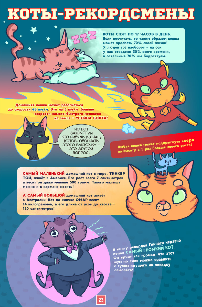 Такие разные коты