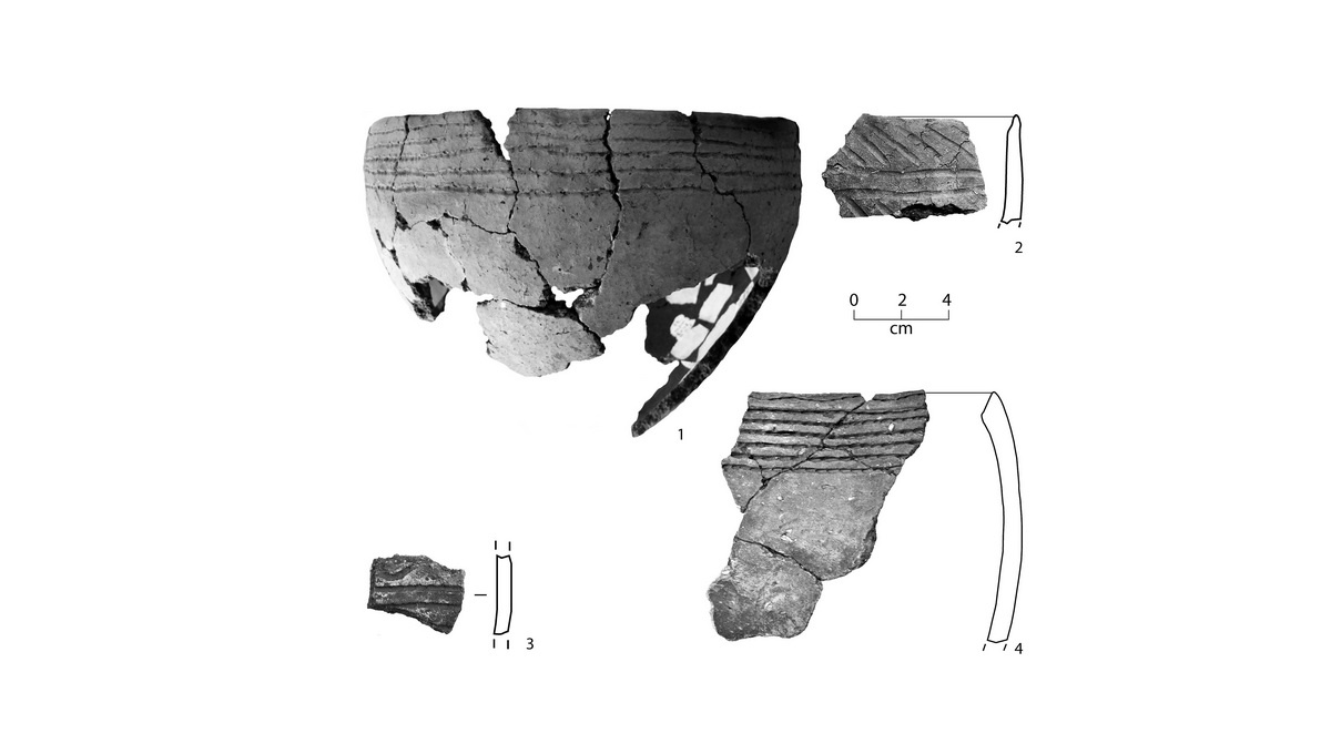 Фрагменты керамики, из которой ученые взяли образцы органических остатков. Иллюстрация: Henny Piezonkaa, Dmitri Enshin, Sonke Hartz, Svetlana Skochina, Thomas Terberger
