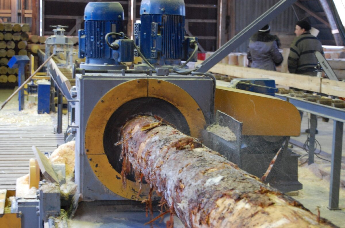 оборудование для производства березового шпона