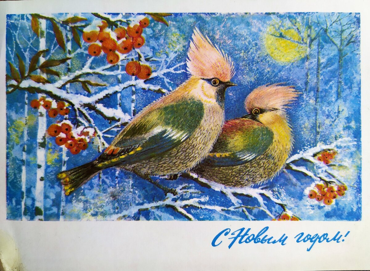 ЛИСТАЙТЕ ГАЛЕРЕЮ!