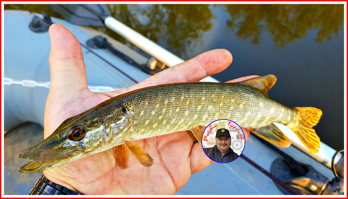 Поддержите канал лайком и подпиской! Спасибо! 