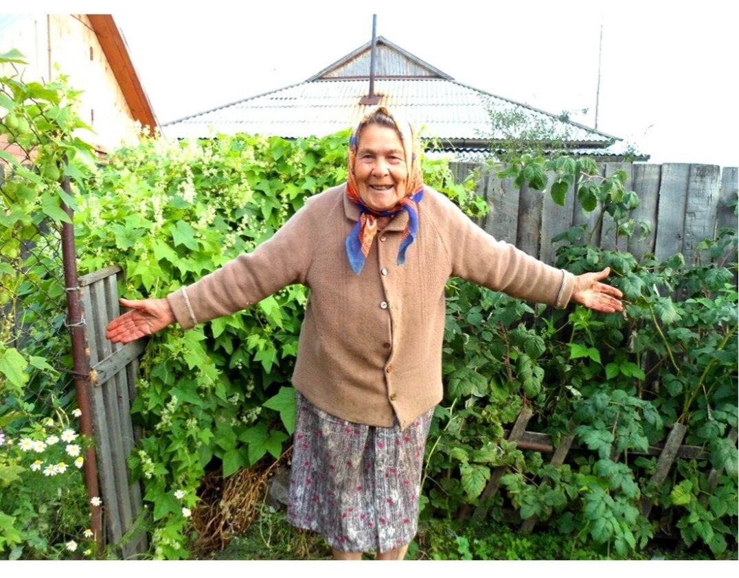 Добро пожаловать на дачу!