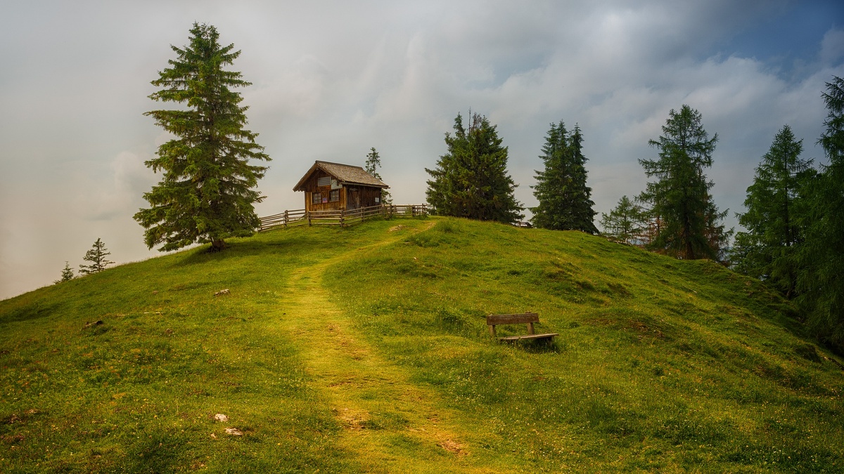 картинка взята https://pixabay.com/ru/