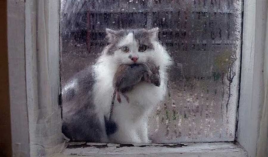 Фото взято из открытого источника для иллюстрации статьи