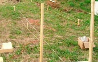 Разметка для свай