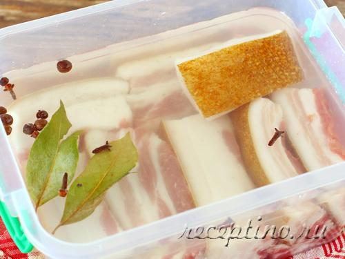 Домашний подчеревок: как правильно ухаживать и содержать