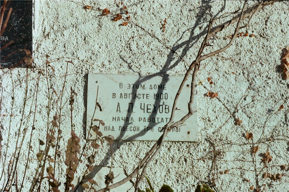  Фото: Алексей Волевач