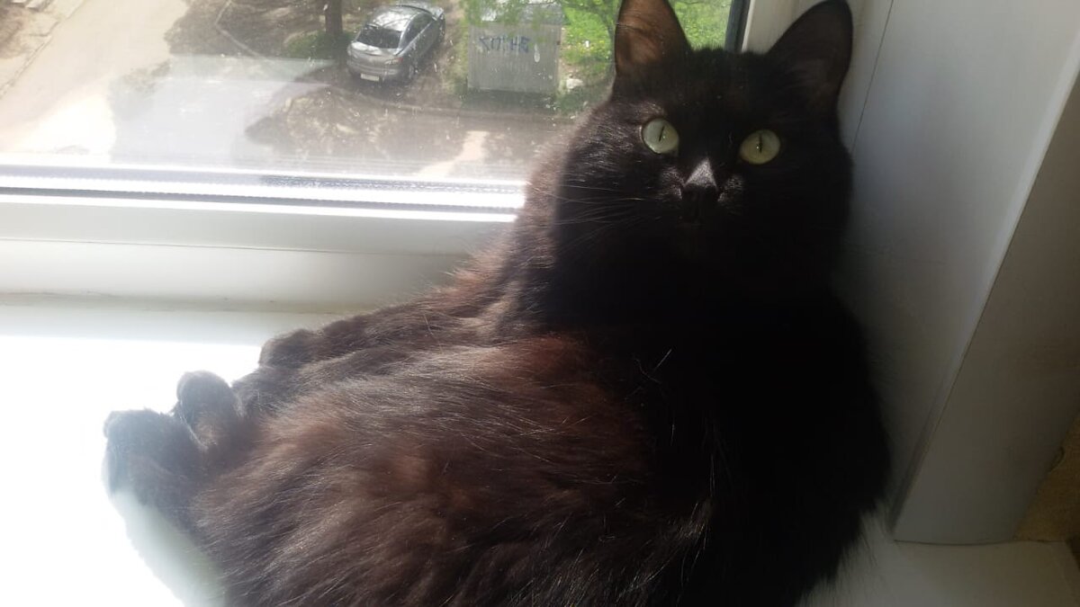 Ах, что выросло 